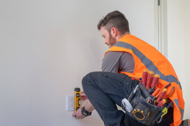 Best Electric Panel Repair  in Seis Lagos, TX